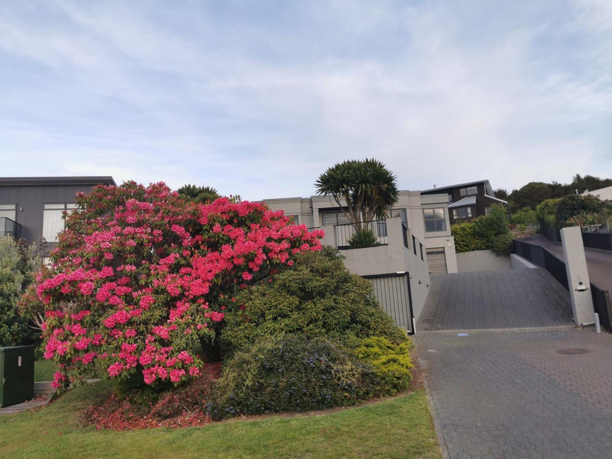 Lakeview Holiday Hideaway Taupo Exterior foto